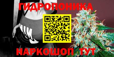 мет Сланцы