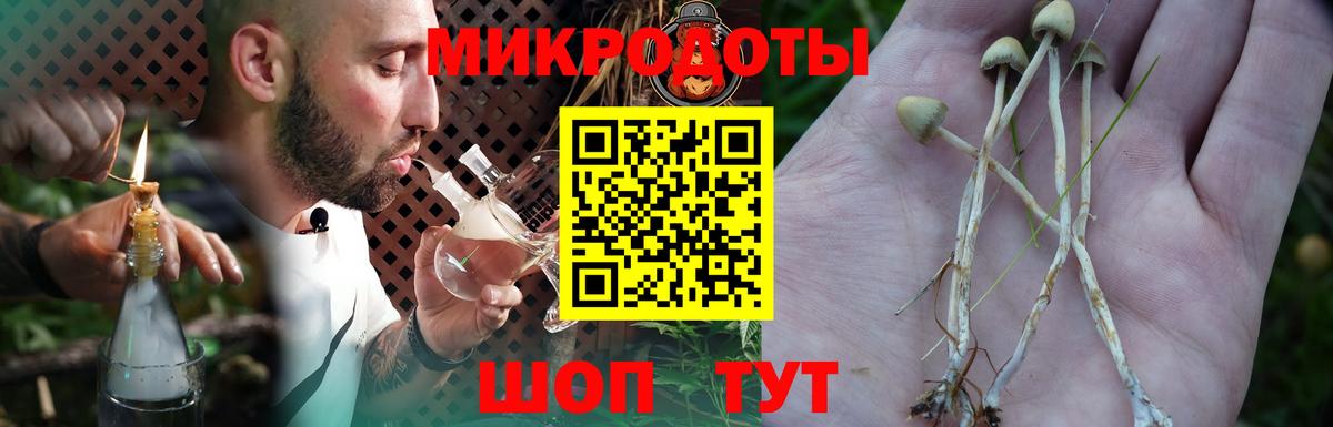 Галлюциногенные грибы прущие грибы  Вход с VPN  магазин  наркотиков  Острогожск  Галлюциногенные грибы ЛСД 